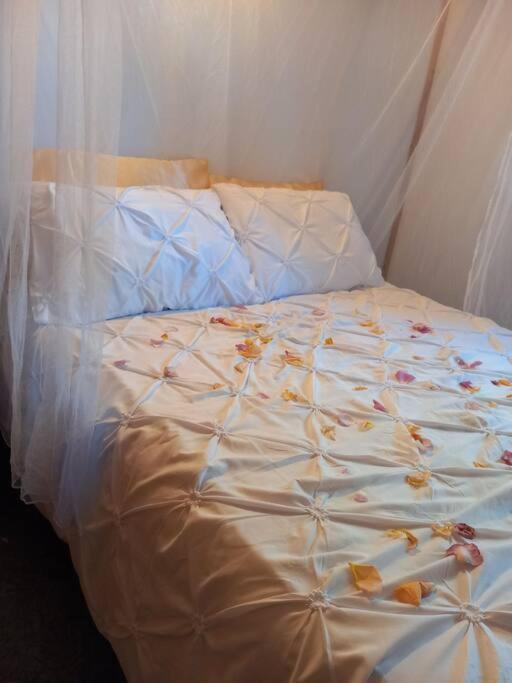 Camping Domaine Vallee Du Tarn Sn Saint-Cirgue المظهر الخارجي الصورة